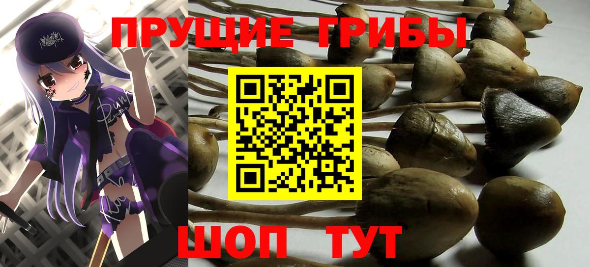 Москва  Галлюциногенные грибы Psilocybe  Псилоцибиновые грибы Psilocybe  Вход с VPN 