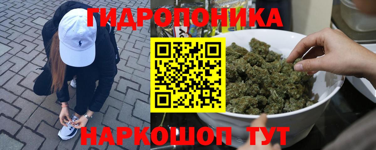 Канабис семена  МАРИХУАНА White Widow  Вход с VPN  Москва  Бошки Шишки планчик  Шишки марихуана тримм 